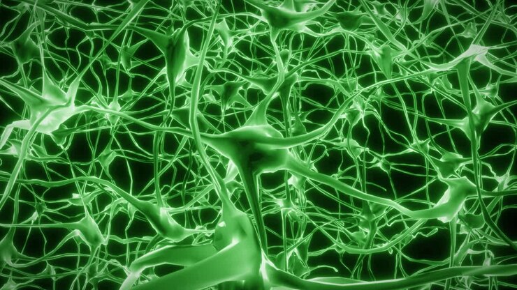 Neurons brain mind axon thought neural network hologram cell health science 4k
