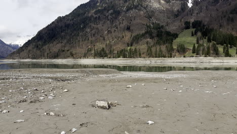 Cerca-De-Un-Perro-Paseando-Y-Jugando-En-La-Orilla-Del-Lago