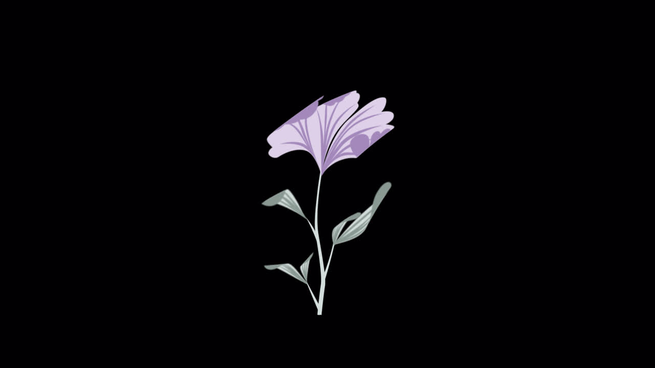 Animeret lilla blomst, der vokser og blomstrer på sort baggrund