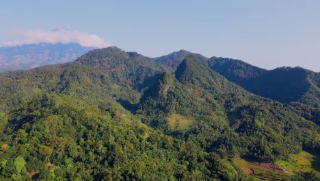 aerial drone view of valley between mountains overgrown with green forest in the morning against blue sky