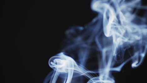 video de nubes blancas de humo moviéndose con espacio de copia en fondo negro