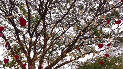 Red hearts hanging on a tree with many paper stars and lights twinkling at night. valentine's day concept