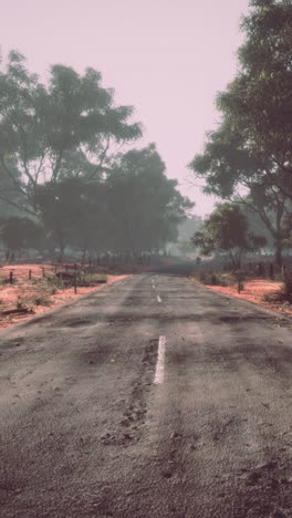 abandoned country road in fog