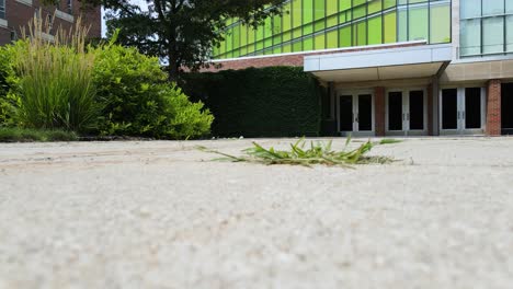 Drone-taking-off-near-wells-hall-at-MSU