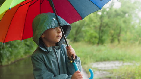 a young boy in a raincoat holds a colorful umbrella and walks in the rain.