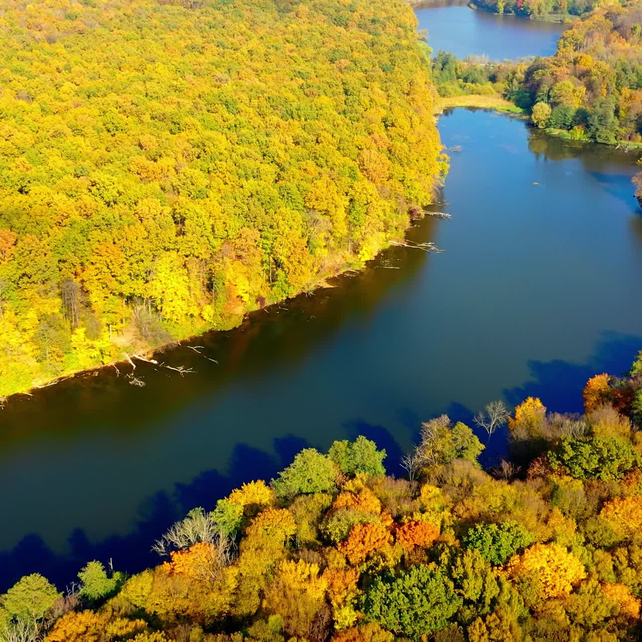 Wonderful scenery of green and yellow woods in autumn season. Calm water flowing in the river through the forest. Aerial view