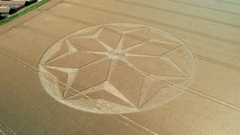 tichborne misteriosas tierras de cultivo doradas geométricas flores patrones círculo de cultivos vista aérea tirar hacia atrás inclinar hacia arriba revelar