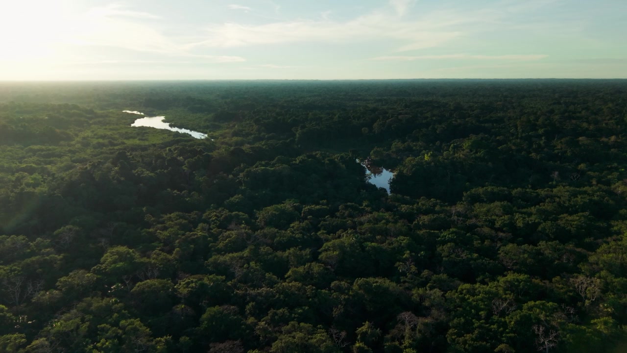 Droneudsigt der flyver over den frodige Amazonas regnskovs trætoppe og snoede flod i Sydamerika.