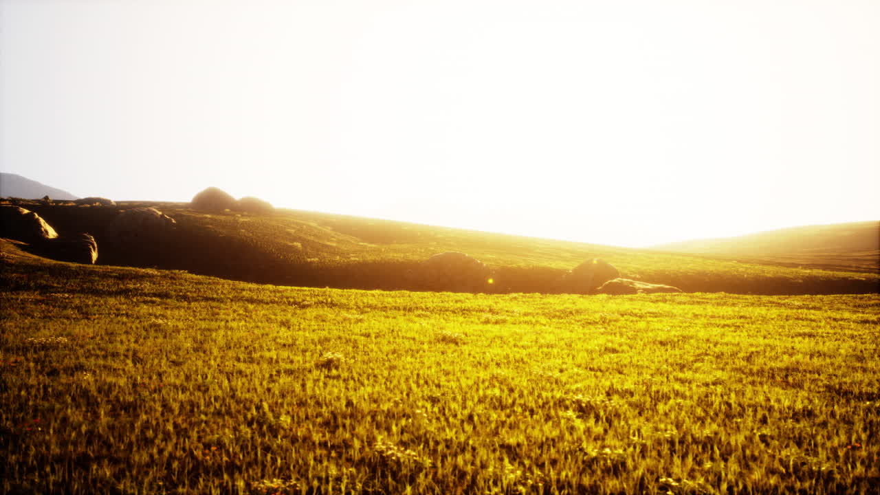 잔디 인 산 계곡 위 의 해가 뜨는 것