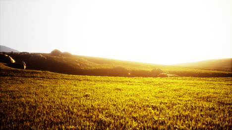 sunrise over a grassy mountain valley