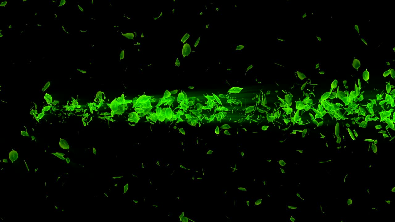 vórtice de hojas verdes. espiral partícula brillante de hojas estacionales. hoja danzante. colorida animación de bucle de túnel de la naturaleza.