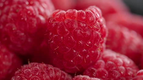 Fresh raspberry in a pile of raspberries closeup