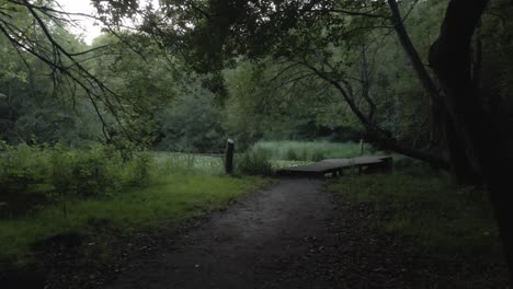 Tiro-Suave-De-4k-En-Un-Parque-En-Francia-Con-Un-Pequeño-Lago,-Que-Muestra-El-Lado-Oscuro-Del-Parque