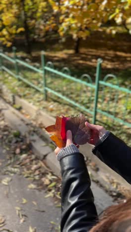 colorful autumn leaves in hands