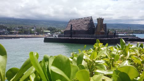 Gimbal dolly shot along seaside plants with the historic Kamakahonu House in the background on the island of Hawai&#039;i