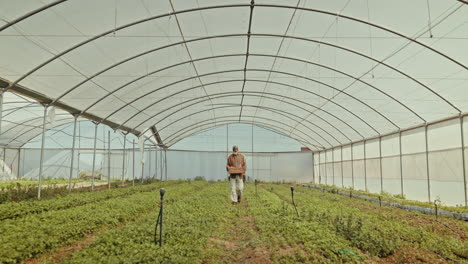 greenhouse, man and plants with farming