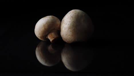 two mushrooms on dark surface with reflection