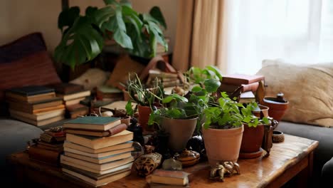 cozy reading nook with books and plants