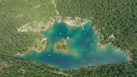 beautiful blue lake in the middle of a large forest