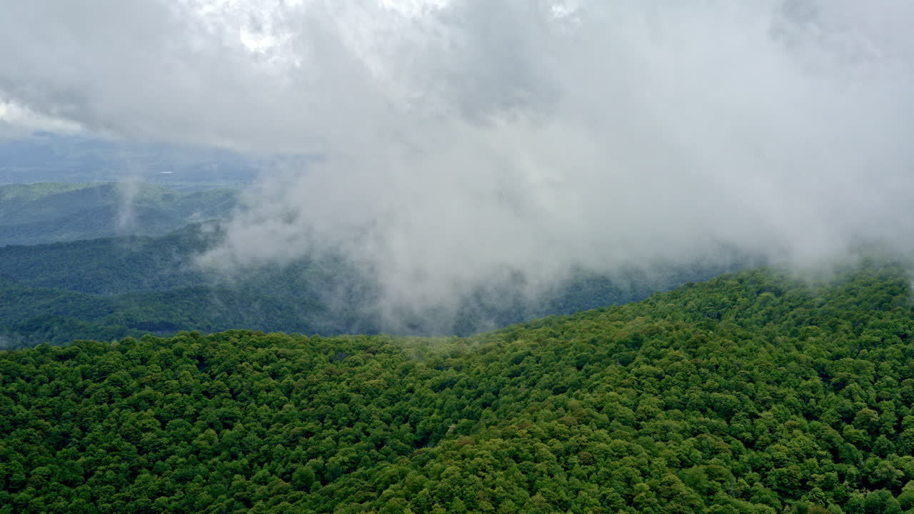 Drone captures the raw, atmospheric beauty of the Smokies in fog and light rain