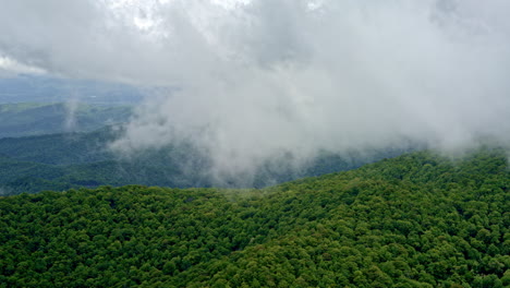 drone captures the raw, atmospheric beauty of the smokies in fog and light rain
