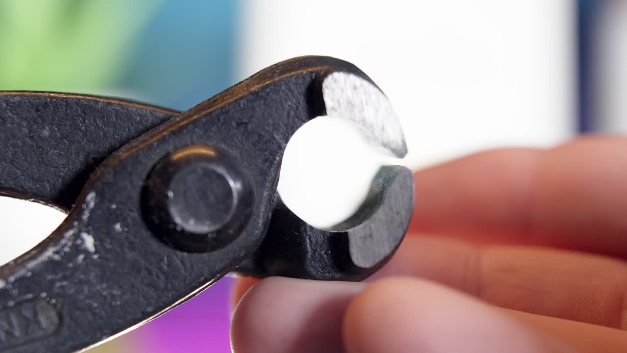 macro tiro de hormigones pinzas de pinzón siendo girado en las manos de una persona