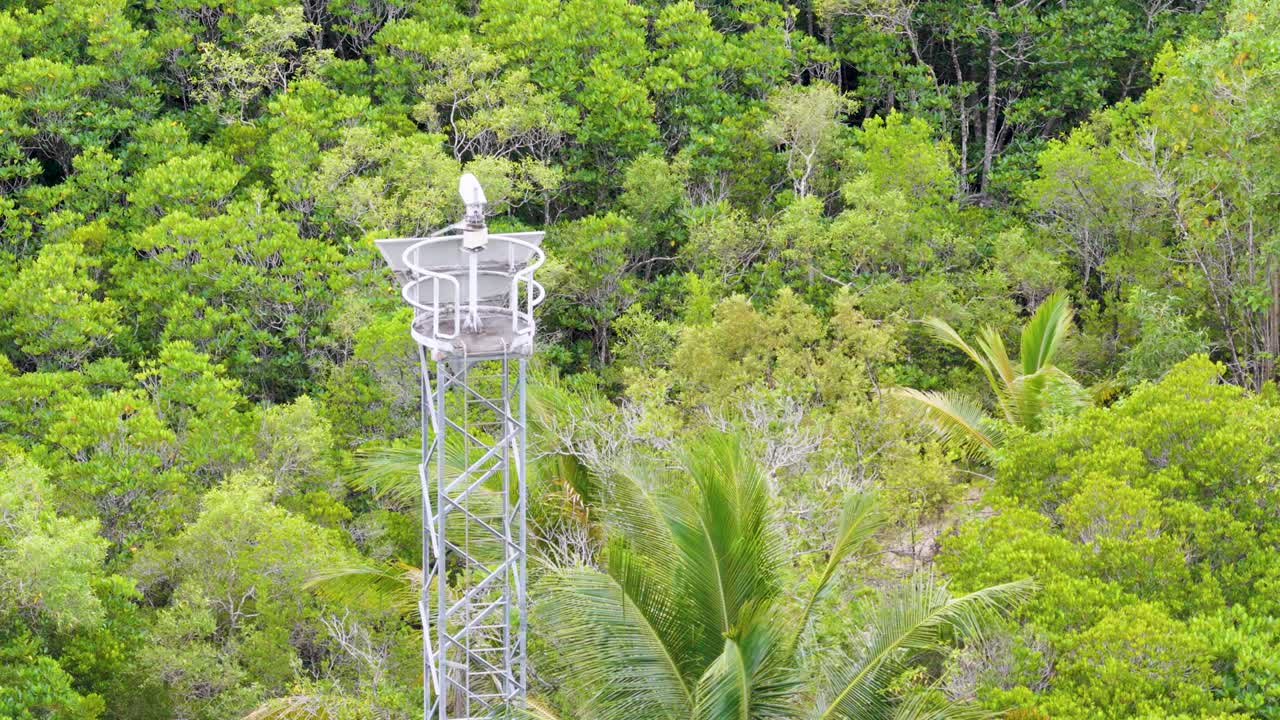 A stationary camera captures a radar tower amidst dense, vibrant rainforest foliage in Port Douglas, Australia