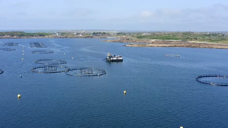 eisc úi flatharta, fish farm, ardmore, kilkieran bay, connemara, county galway, ireland, july 2021