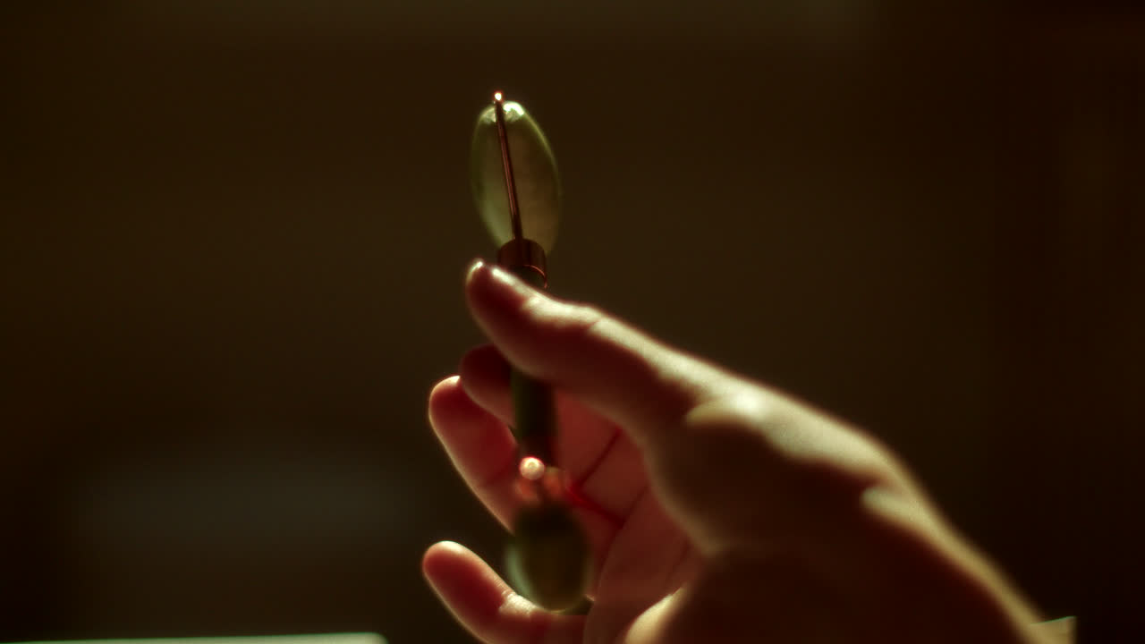 Hand Holding Jade Roller