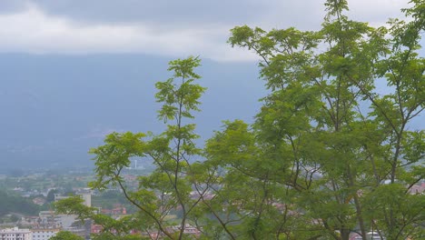 houses in the mountain covered in fog with trees at the side