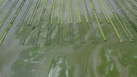 jaulas de ostras en agua de mar poco profunda en bretaña, francia