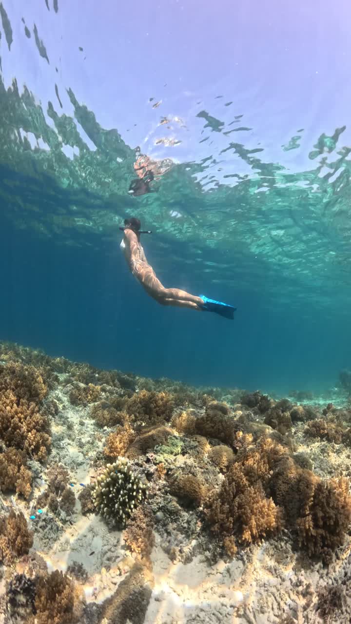 women swimming, underwater view of girls on bikini diving at a coral reef in the ocean