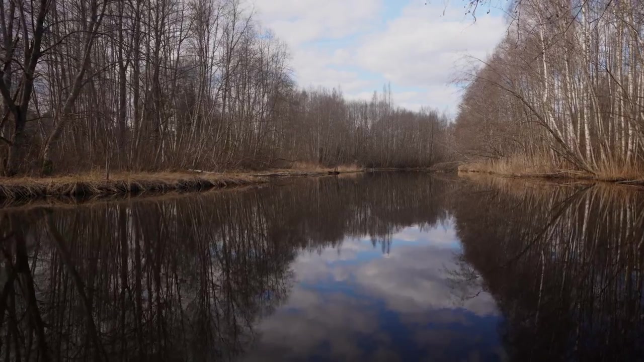 Stille flod, der spejler bladløse træer i blødt dagslys i et roligt skovlandskab.