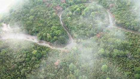 el avión no tripulado ariel ve la puesta de sol de la mañana con niebla y bosque verde en el enlace de la carretera costera de sempadi sarawak, borneo.