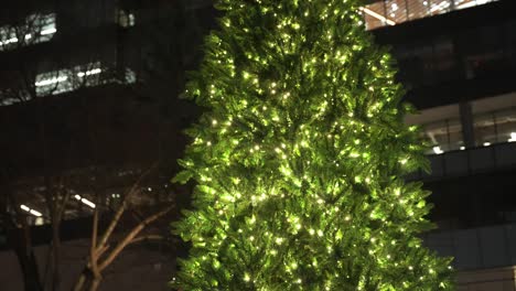 disparo de paralaje medio de un árbol de navidad verde muy grande con sólo la luz de hadas brillante brillando por la noche en una ciudad rodeada de edificios iluminados en el fondo