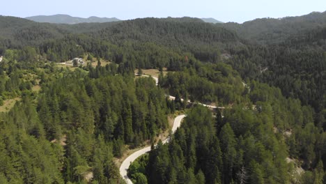 Video-De-Drones-Sobre-Un-Denso-Bosque-De-Pinos-País-Camino-Sinuoso-Montaña-Verano