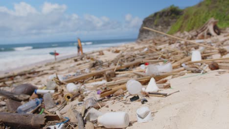 impact of plastic waste on coastal ecosystems in a serene beach setting