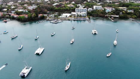 pickly bay marina in grenada with yachts anchored on tranquil waters, aerial view