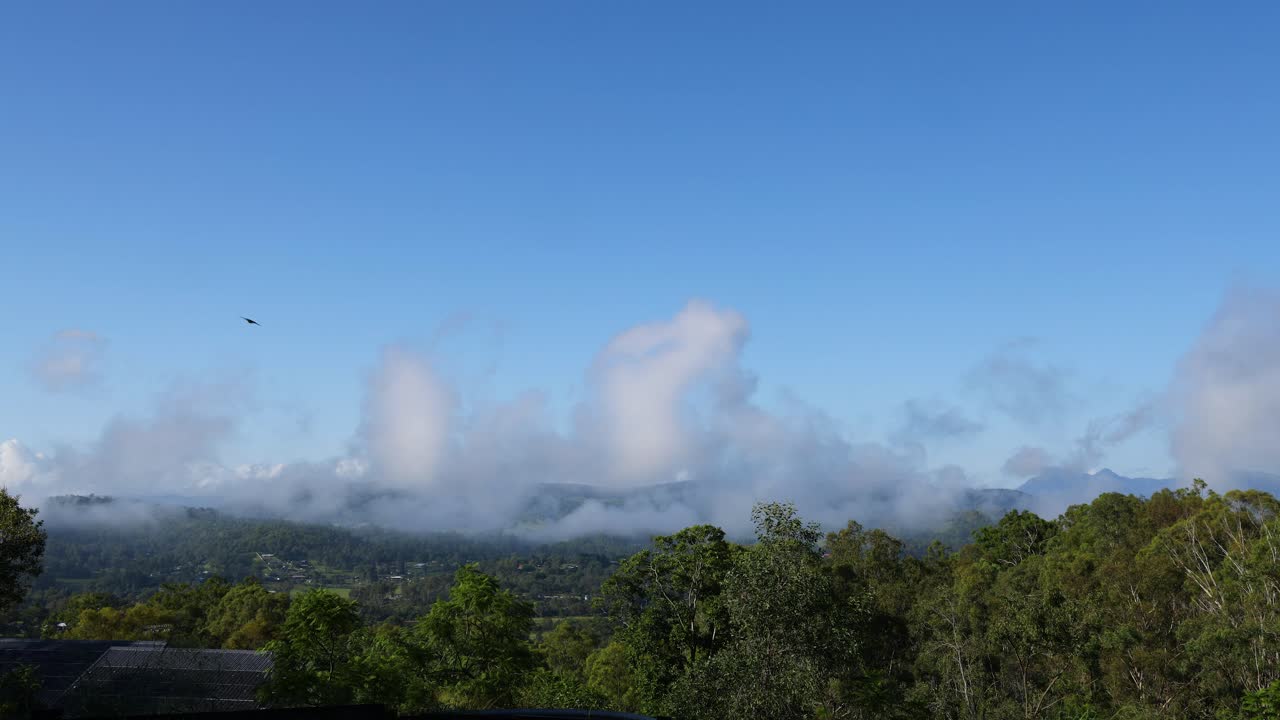 las nubes se disipan sobre un paisaje de bosque exuberante