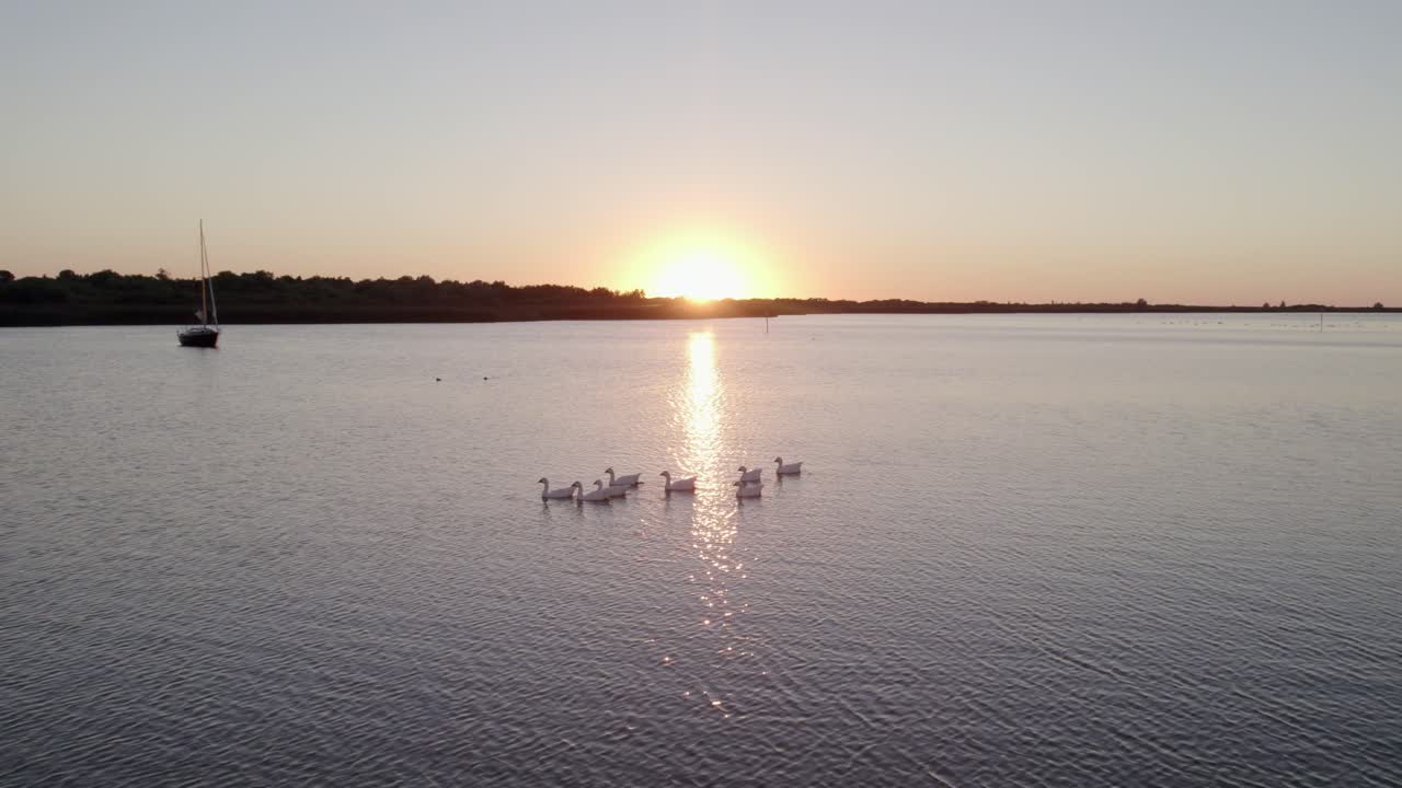 Luchtfoto van jachten afgemeerd op het IJsselmeer bij zonsondergang met ganzen in Makkum, Nederland met prachtige zonsondergangverlichting, rustige sfeer, hoogwaardige dronebeelden die serene momenten vastleggen