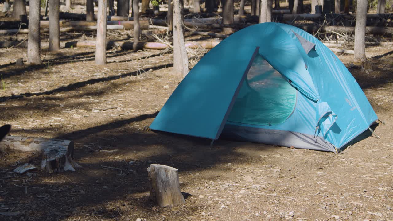 파란색 텐트 옆에서 스니핑하는 검은 실험실