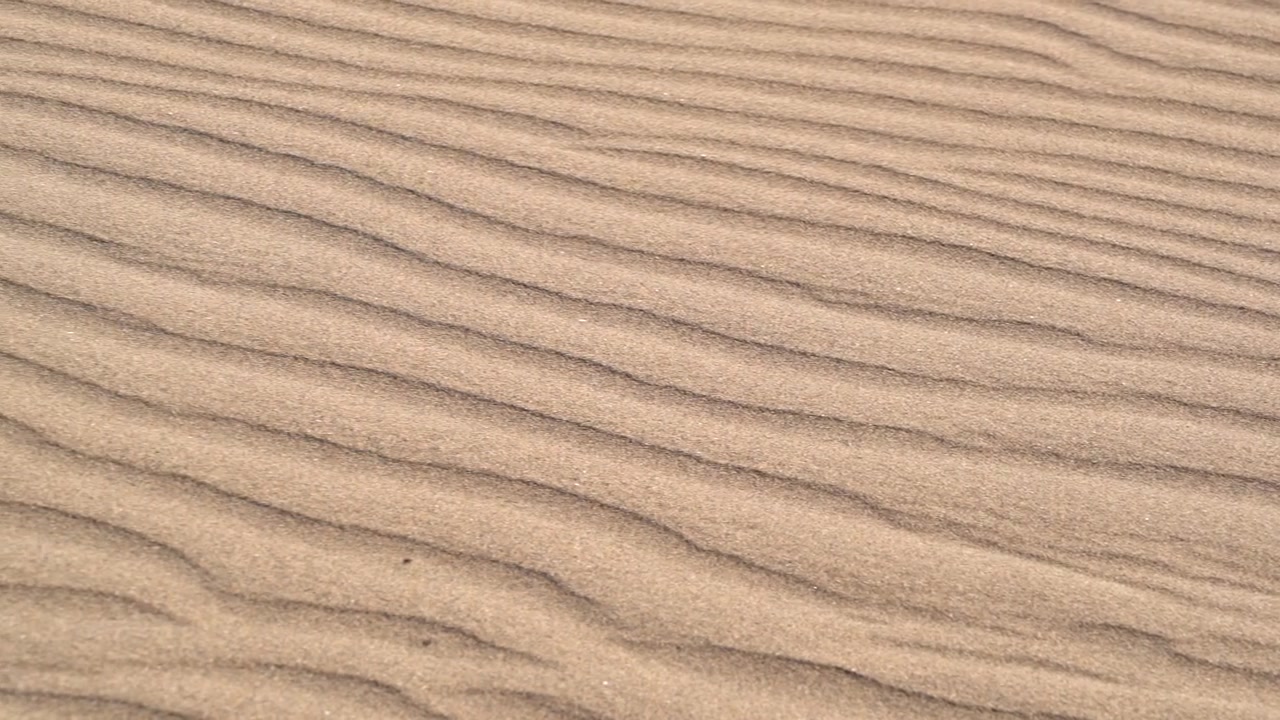 Wind Blowing Over Sand Dunes in the Desert