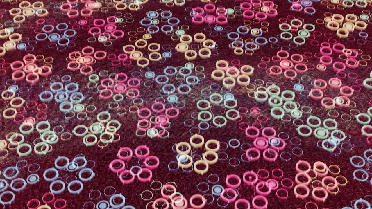 campo móvil de pequeños círculos coloridos que imitan siluetas de flores en colores rosados, bucle sin costuras. animación. concepto de la infancia, formas simples que se asemejan a un brote de flor.