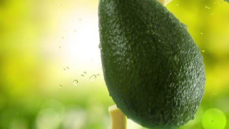 aguacate con rebanadas y salpicaduras cayendo en el fondo del jardín