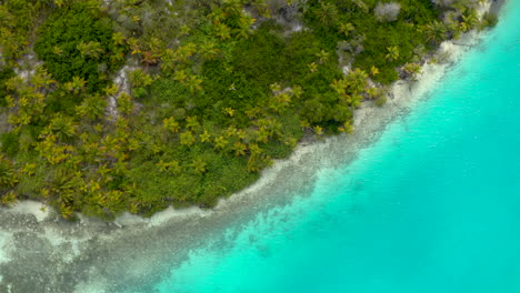 Antena:-Drone-Panama-Islas-San-Blas-Isla-Deshabitada