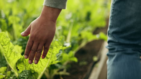 Farm-field-inspection,-hands