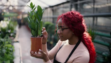 Female-botanist-working-at-greenhose,-taking-care-of-plants,-side-view