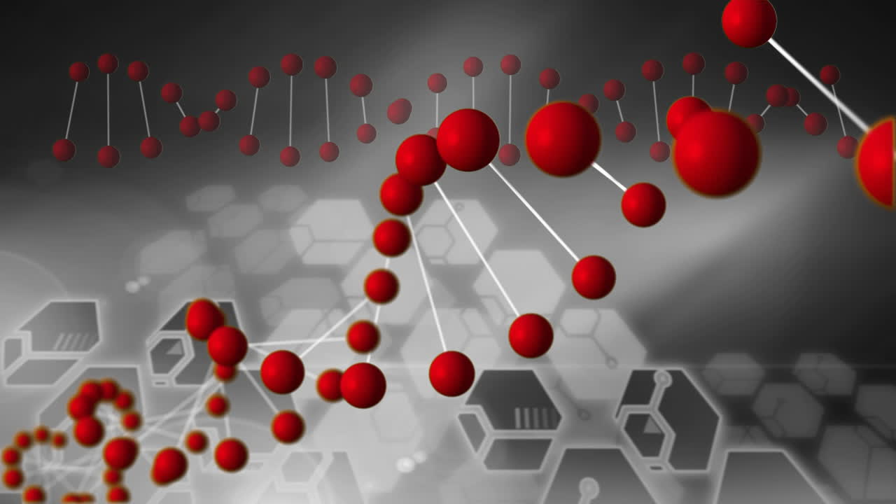 디지털 DNA 헬릭스