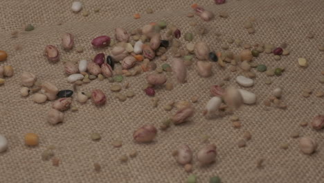 dry legumes mixed beans falling at slow motion