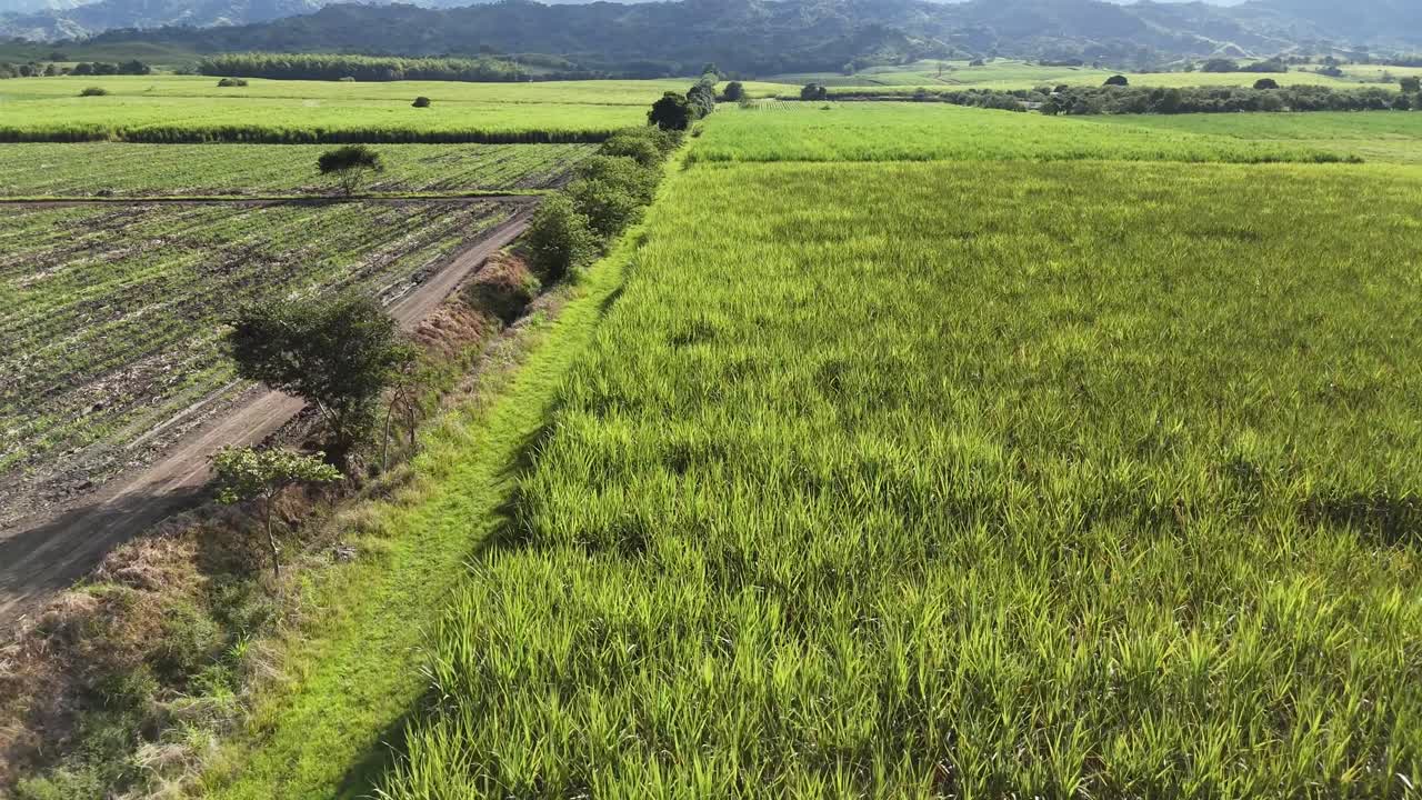 Green farmland stretching into distant mountains